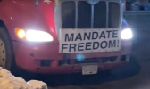 Mandate Freedom