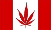 152 - Canada Weed Flag 168x100