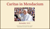 Caritas in Mendacium