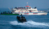 Gaza Flotilla